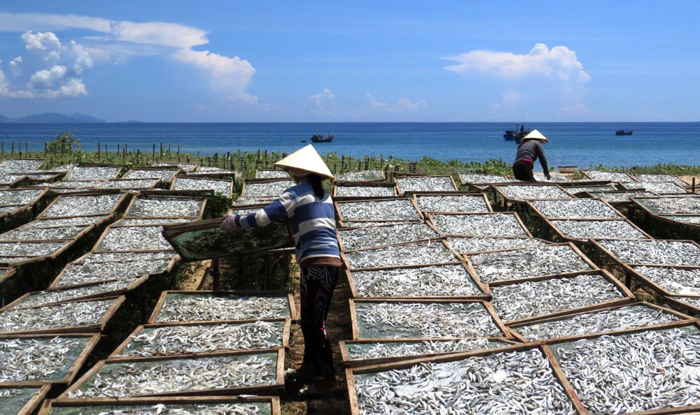 Phát Triển Làng Nghề và Tiềm Năng Du Lịch Bền Vững